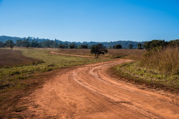 Cost of Dirt Driveway Repair in Peyton