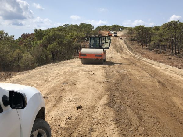 Cost of Driveway Grading in Peyton