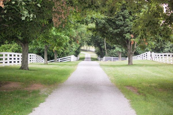 Cost of Gravel Road Installation in Peyton