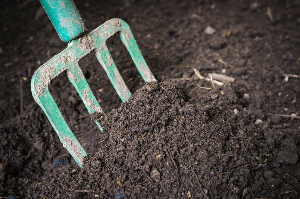 Cost of Topsoil Spreading in Peyton