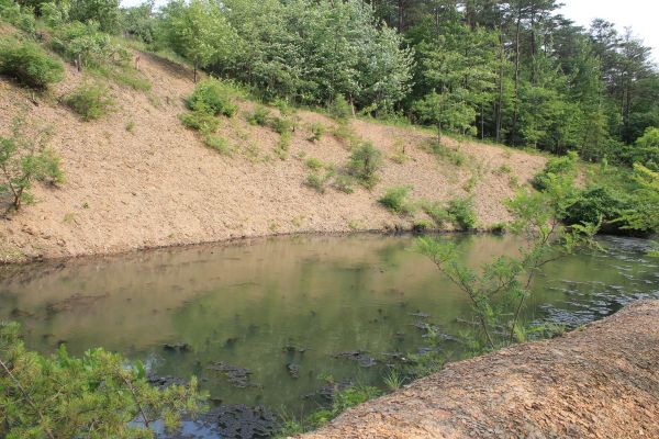 Cost of Pond Erosion Repair in Peyton