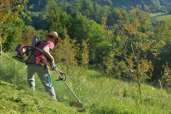 Cost of Slope Trimming in Peyton