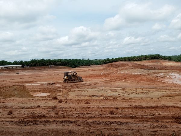 Cost of Land Preparation Service in Peyton